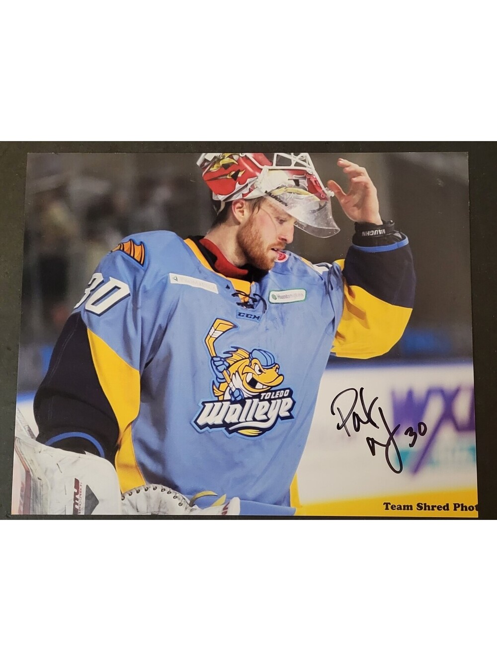 Pat Nagle Hockey Goaltender Toledo Walleye Autographed Signed 8"x10" Photo